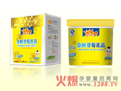 冠軍寶貝金胚芽菊花晶