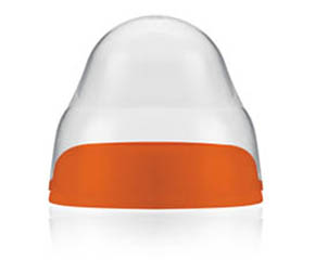 �����ǌ��ڏ���ƿ�w�Æ���