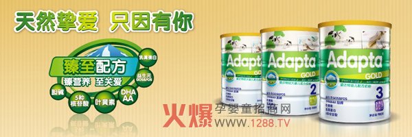 Adapta���׃��̷� ��I�B(y��ng)���P(gu��n)��