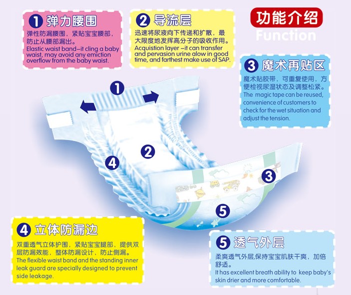 拍拍爽高檔尿褲簡介