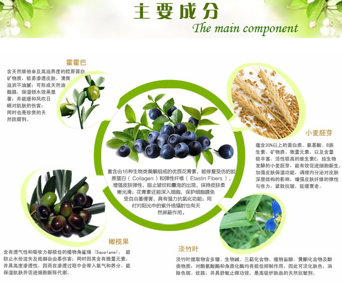 �{(l��n)ݮ������y��Ħ˪ 120g