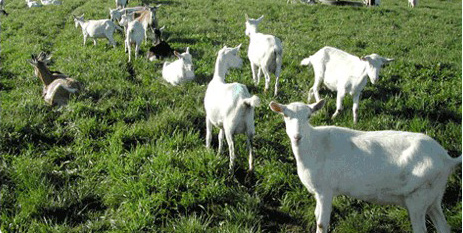 ����������Դ����������������������