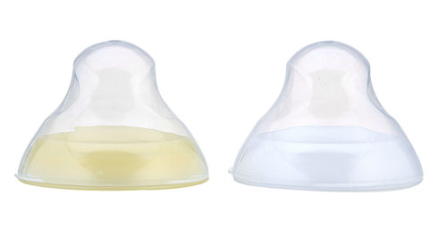 ��������ڏ���ƿ�w