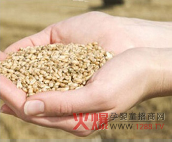 �����r���ͯ�oʳ�����ի@ԭ��