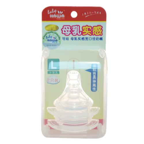 ���ތ��ڏ�ĸ���m���������͸�����b