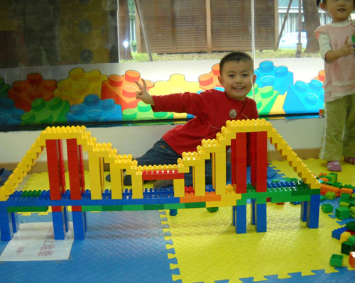 樂高丁丁橋器積木玩具