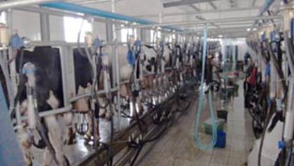 �F(xi��n)�����ĔD��܇�g