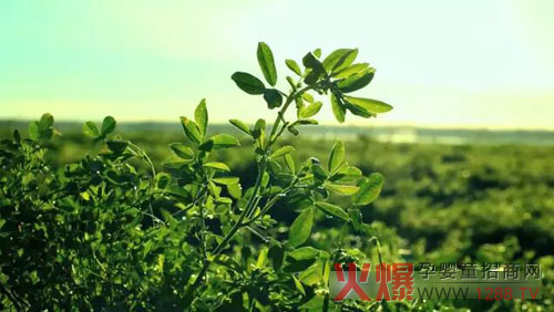 �xɽţ�̟���ӛ�������������� �����֎ײ���