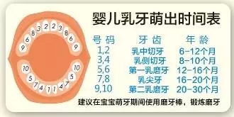 ���\ӛ�냺ĥ���� ܛӲ�Ȅ�����