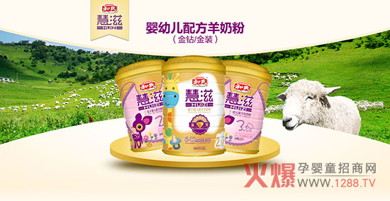 ������ʲô����(��i)�Ⱥ��ϻ������̷���