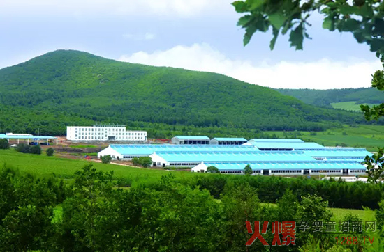 �l(f��)չ��(sh��)�w��(j��ng)��(j��)�����_(d��)ɽ���Є�(d��ng)��