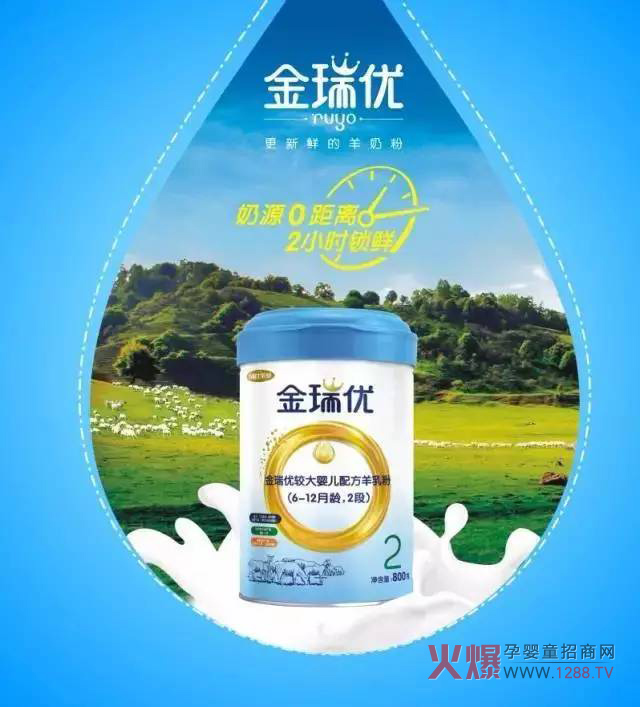 ���̷�+OPO�����ж����