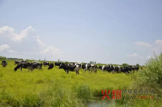 ���_(d��)ɽ�̷۞�Ε�(hu��)�ܵ��@ô���˵�ϲ����