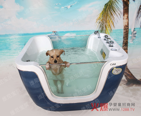 �S�ጚؐ�냺��Ӿ���\(ch��ng)������