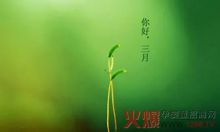 ��������� | ��Ԫ�����ġ����������S ���ϴ�����Ʒʢ����u