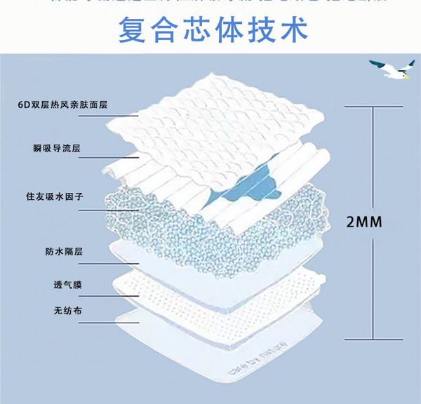 卡爾頓公園紙尿褲 詳情9.jpg