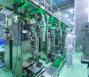  ��������S12