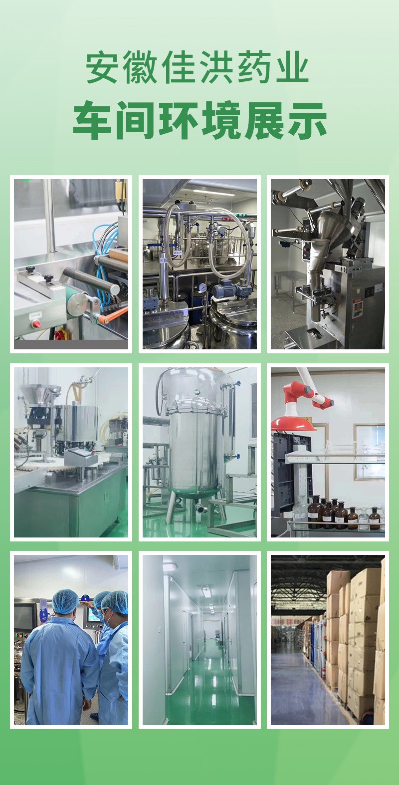 安徽佳洪健康產(chǎn)業(yè)有限公司 (3).jpg