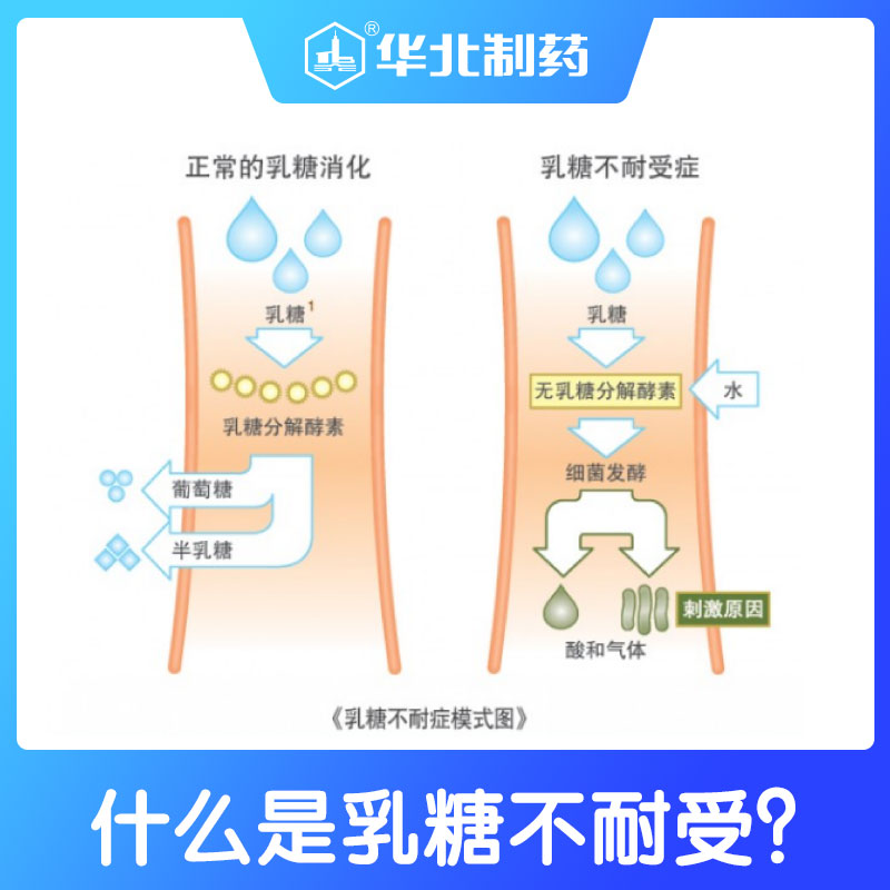 華北制藥華維健康乳糖酶水解蛋白調(diào)制乳粉2.jpg