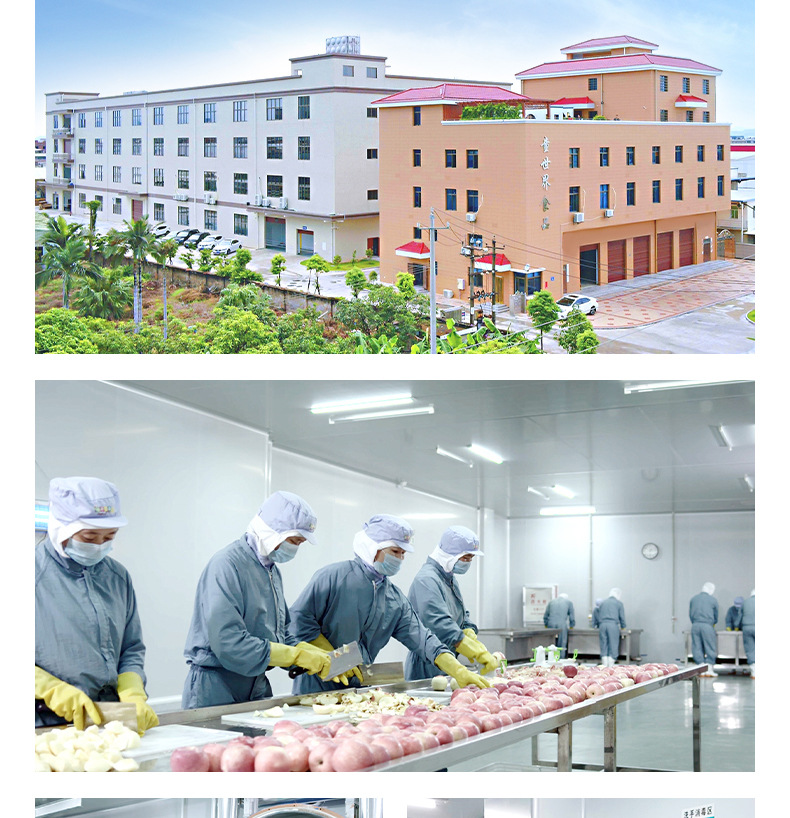 凍干酸奶果粒塊 (12).jpg