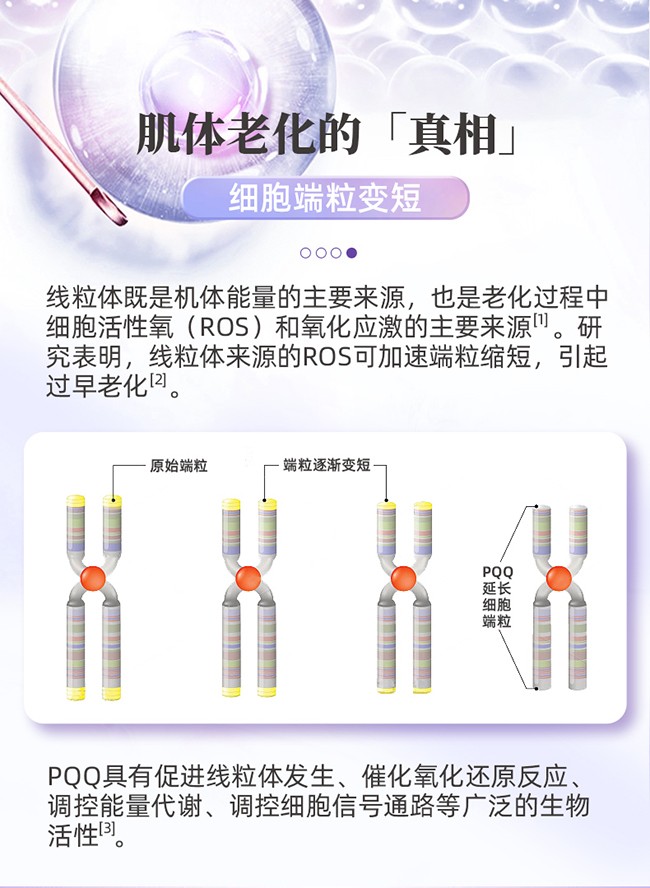 呀啦嗦PQQ蟲草原花青素時光飲詳情 (5).jpg