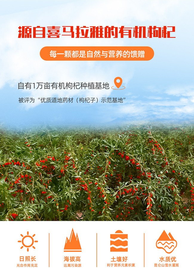 呀啦嗦有機(jī)枸杞原漿詳情 (5).jpg
