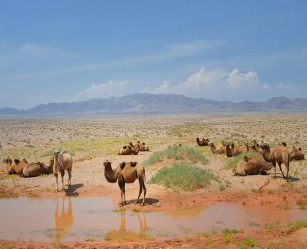 ���ƽz�ĸ�댣�������\(ch��ng)�д����̣���ģʽ���´򷨣����o(h��)ȫ�ҽ������\(ch��ng)�����ļ�����