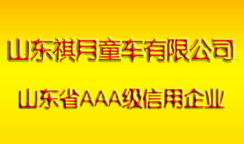 ɽ�|����ͯ܇(ch��)���޹�˾