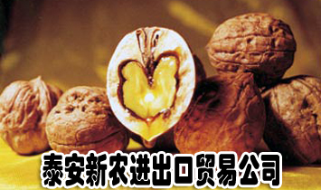 ̩�����r�M�����Q�׹�˾