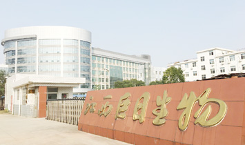 ��ۣ����գ��������F�ɷ����޹�˾