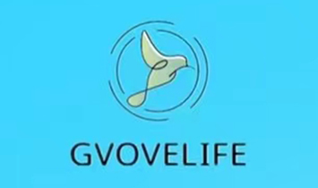 �����mُ(g��u)�o���أ�GVOVELIFE����ͯ�̷�