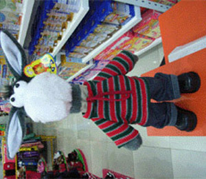 ����Ћ���˵��L��