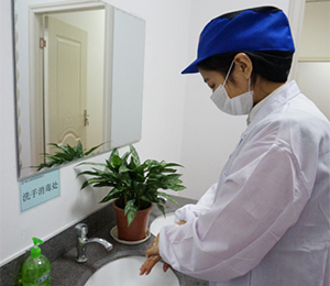 �����l(w��i)��Ҫ��