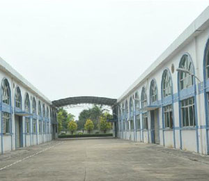 С�i�ɰŹ��S