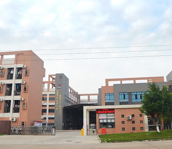 ��˾����չʾ