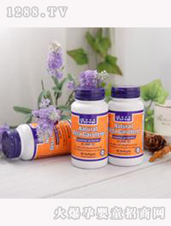 �����r�̦º��}�����z��