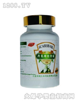 ���念��Ҋ��ܛ�z��