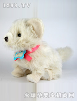 ��֮����˯�X(ju��)��