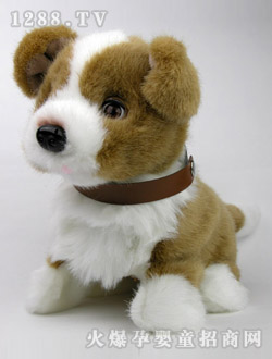 ��֮����˯�X(ju��)����Ȯ