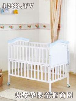 ��������ľϵ��TC306ZB