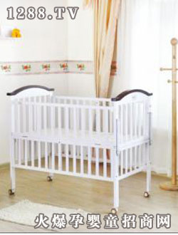 ��������ľϵ��TC300ZC 