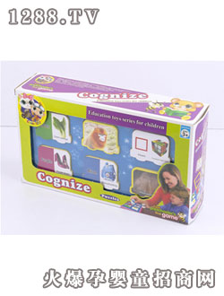 恒信youe教學(xué)系列玩具（常識(shí)認(rèn)知）