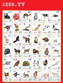 �����؄���--�l(f��)����D