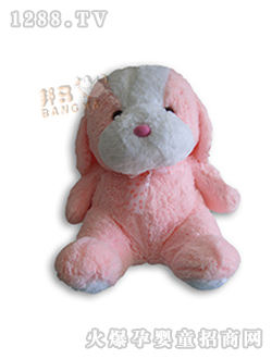 ���R��ʿ��