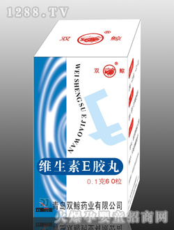 �p�L�S����E�z��