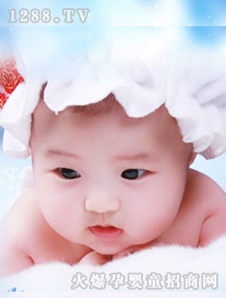 ֥���_�T�zӰ���ی���