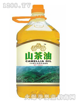 ��ʢ¡Ұ��ɽ����1928