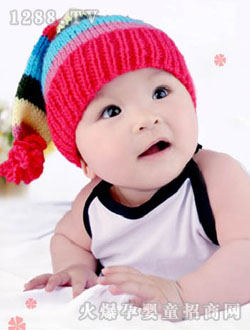 ���쌚���ɐ���