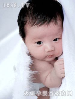 ��ʹ���Ryinge��Ƭ