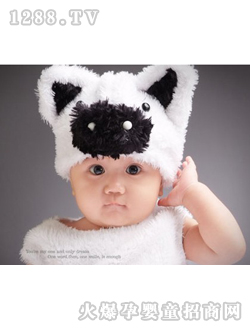 QQbaby����������